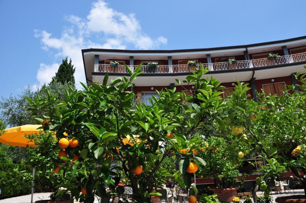 Hotel Continental غارْدا المظهر الخارجي الصورة